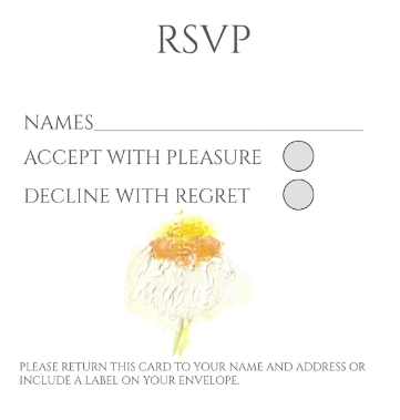 Pack of 12 Daisy Ammobium RSVP Cards