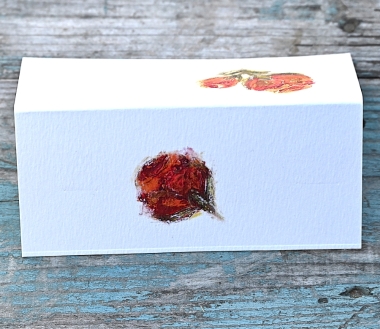 Pack of 12 Rose Orange Folded Place Name Cards