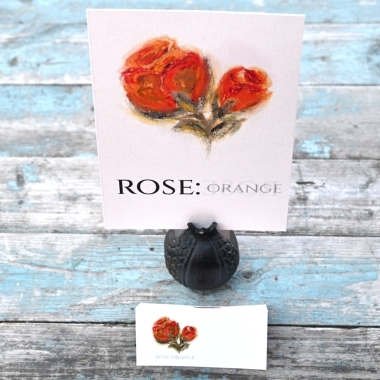 Pack of 12 Rose Orange Folded Place Name Cards
