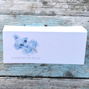 Pack of 12 Larkspur Blue Folded Place Name Cards