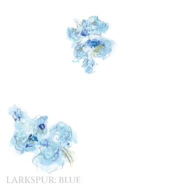 Pack of 12 Larkspur Blue Folded Place Name Cards