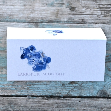 Pack of 12 Larkspur Midnight Folded Place Name Cards