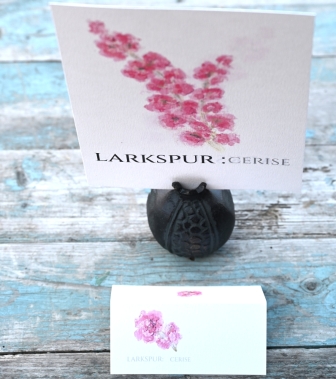 Pack of 12 Larkspur Cerise Folded Place Name Cards