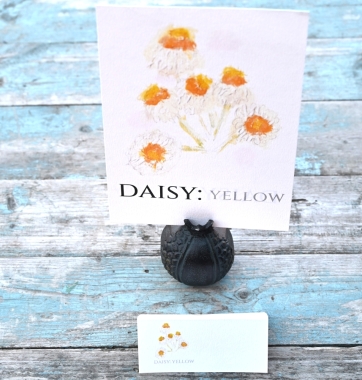 Pack of 12 Daisy Ammobium Folded Place Name Cards