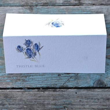 Pack of 12 Thistle Blue Folded Place Name Card