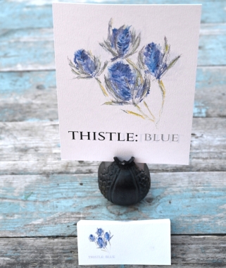 Pack of 12 Thistle Blue Folded Place Name Card