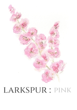 Larkspur Pink Table Name A5 Double Sided Card