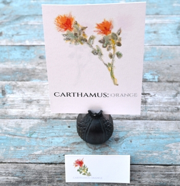 Carthamus Orange Table Name A5 Double Sided Card