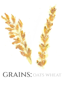 Grains Wheat Oats Table Name A5 Double Sided Card