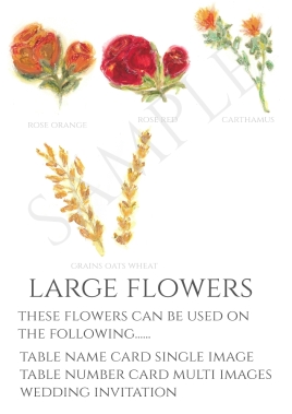 Wedding Stationary Sample Pack