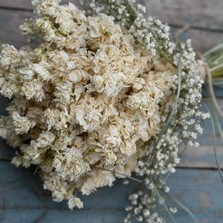 Boho Purity Larkspur Cloud Wedding Bouquet