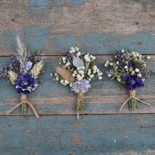 Dainty Blues Buttonhole