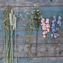 DIY Meadow Pastels Bud Vase, Chair, Cake, Table Decoration Flowers