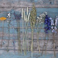 DIY Prairie Blues Chair, Cake, Table Decoration Flowers