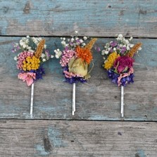Fiesta Brights Set of 3 Hair Grips